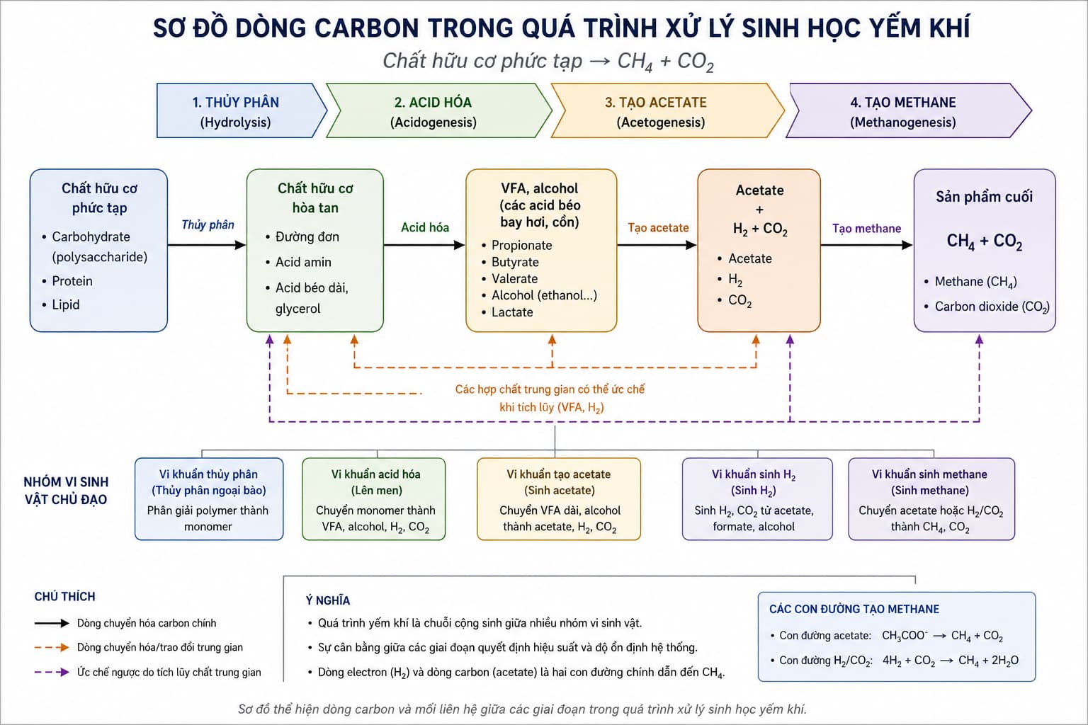 Các giai đoạn chuyển hóa chất hữu cơ trong xử lý sinh học yếm khí