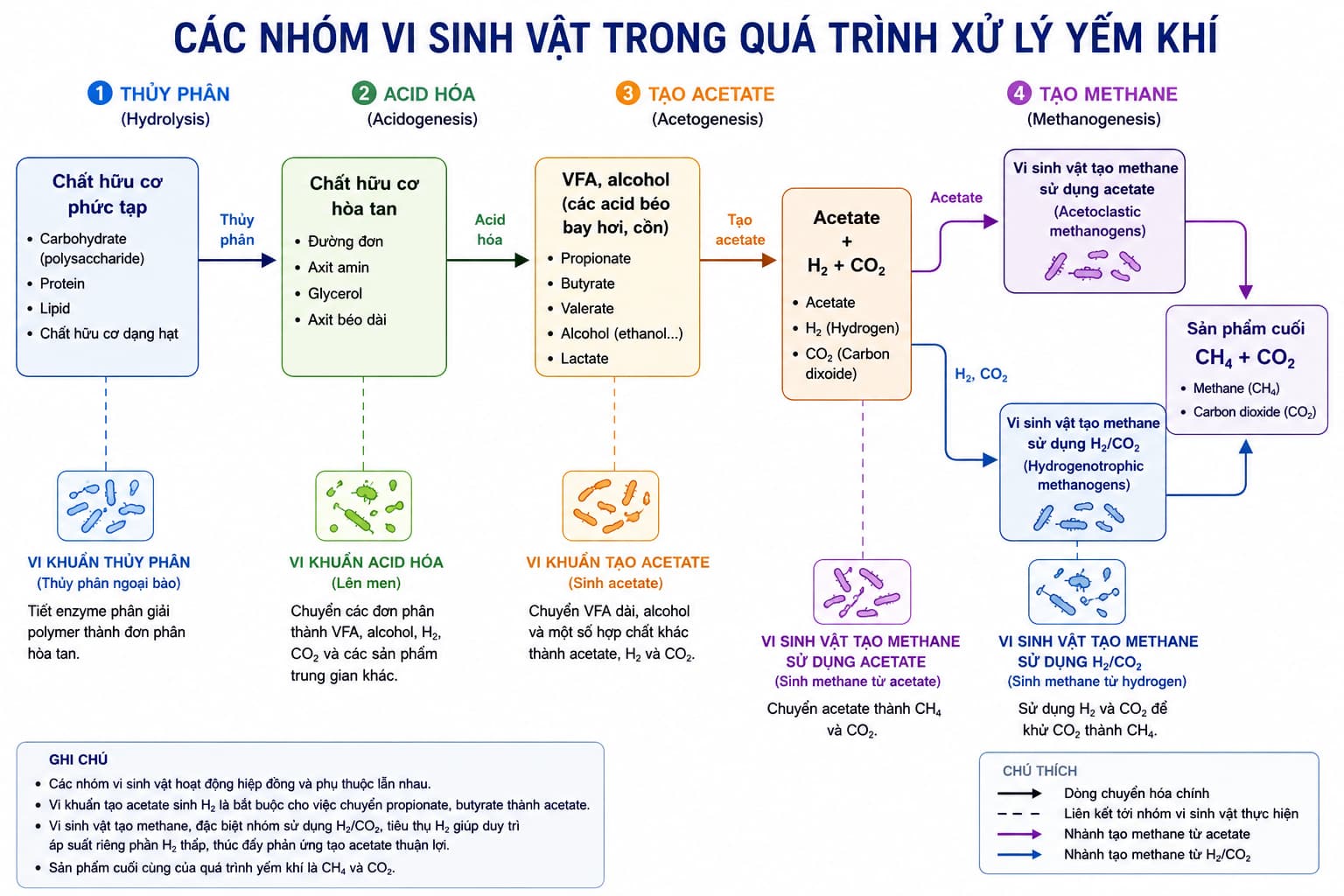 Các nhóm vi sinh vật và dòng chuyển hóa chất hữu cơ trong quá trình yếm khí