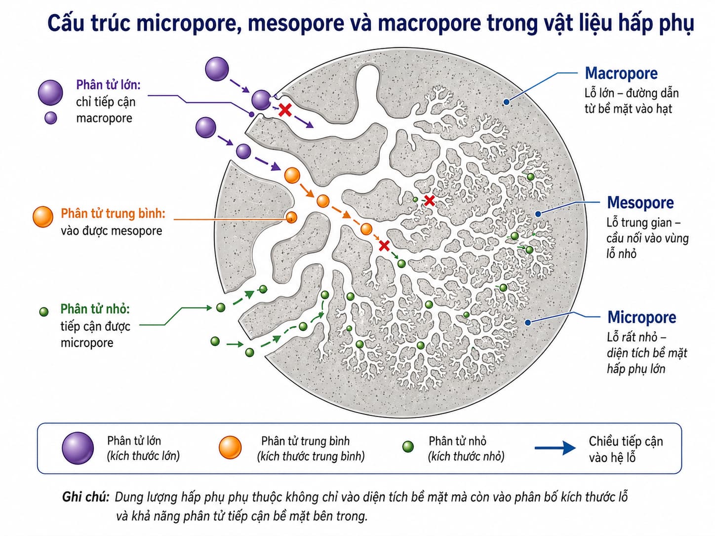 Cấu trúc micropore, mesopore và macropore trong vật liệu hấp phụ