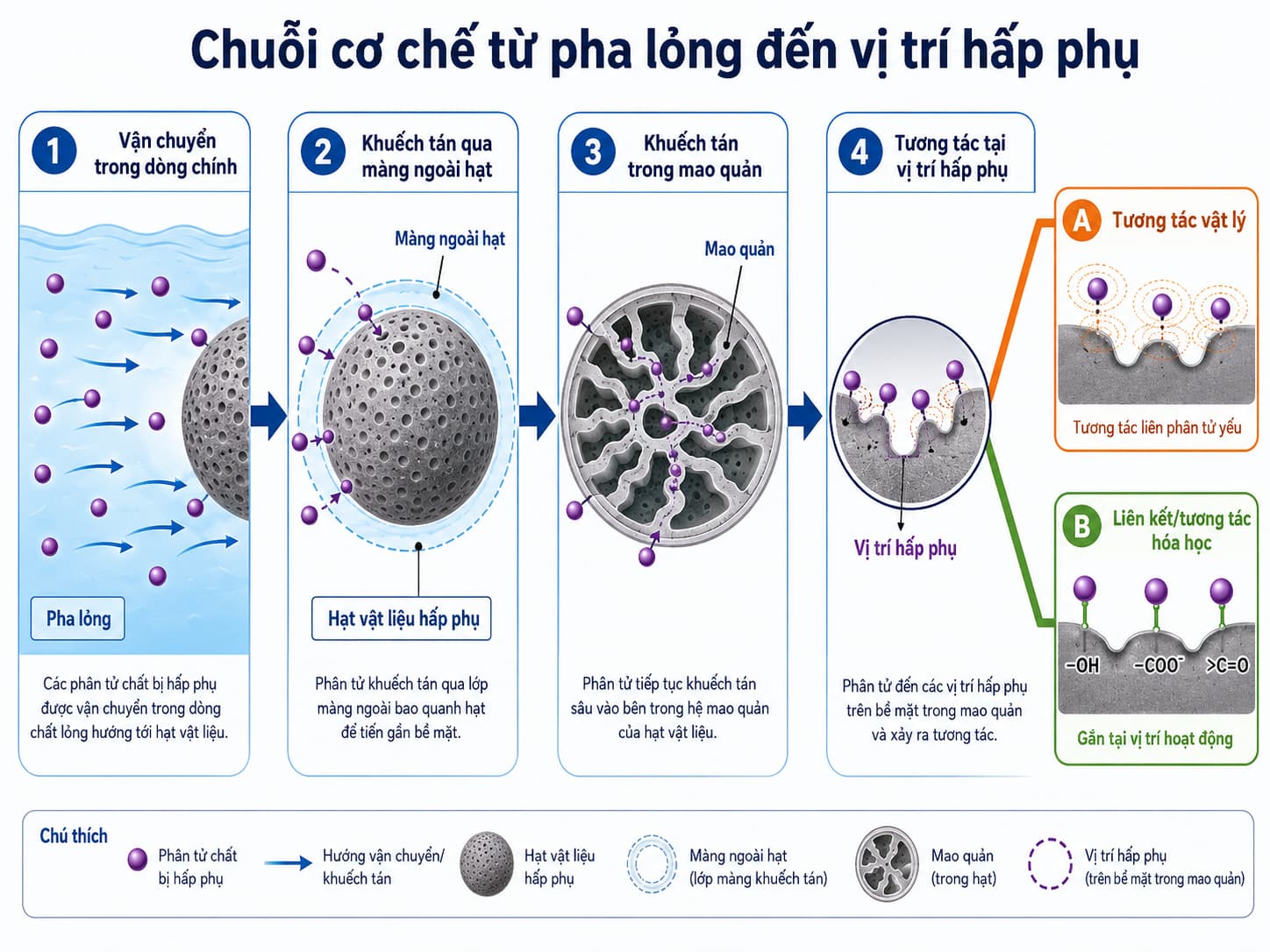 Các bước truyền khối và tương tác bề mặt trong quá trình hấp phụ