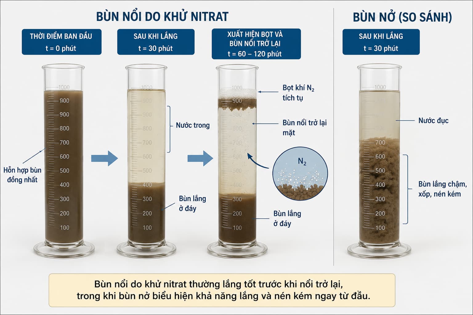 Phân biệt bùn nổi do khử nitrat và bùn nở bằng thí nghiệm lắng